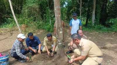 Angkat Sejarah Nyamplung Era Bupati Turkiyo, Heroes Park Bersiap Jadi Kebun Raya