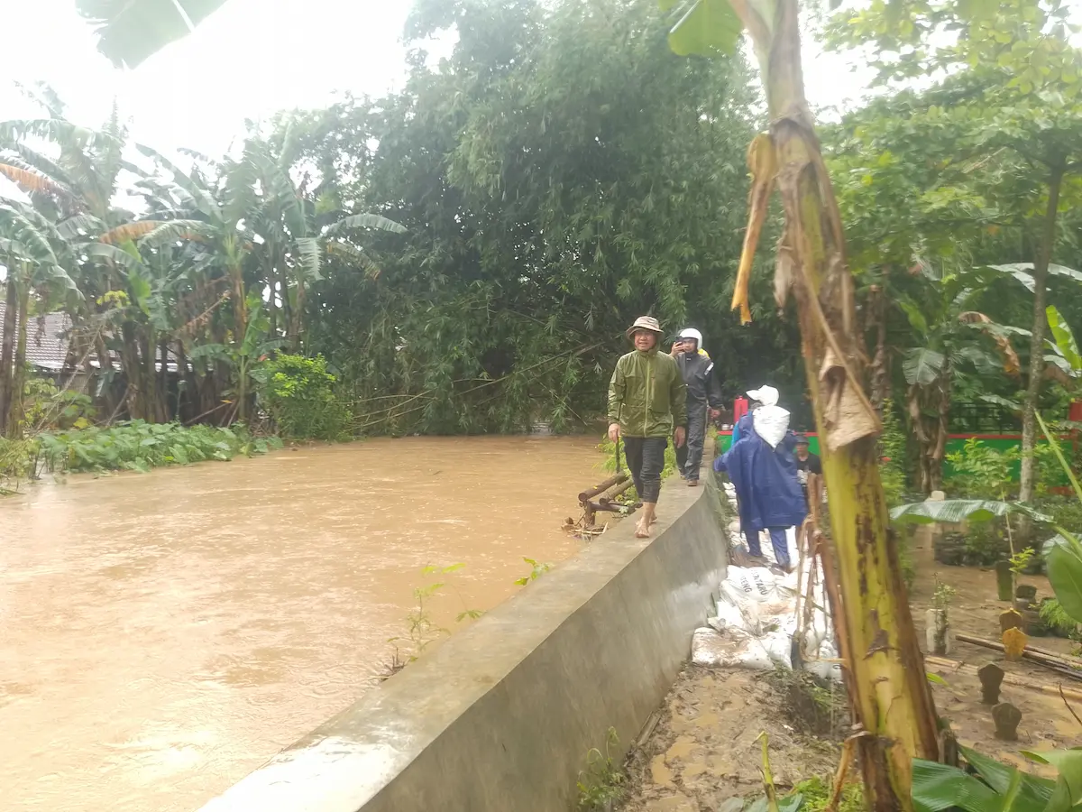 Bupati Kudus Sam'ani Intakoris saat meninjau aliran sungai di Kecamatan Mejobo sebagai bagian dari evaluasi dan penguatan mitigasi bencana Kudus.