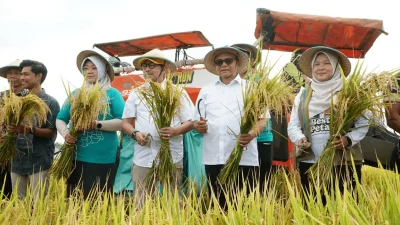 Pakai 100 Persen Pupuk Subsidi, Petani Pati Sukses Panen 10 Ton Per Hektare