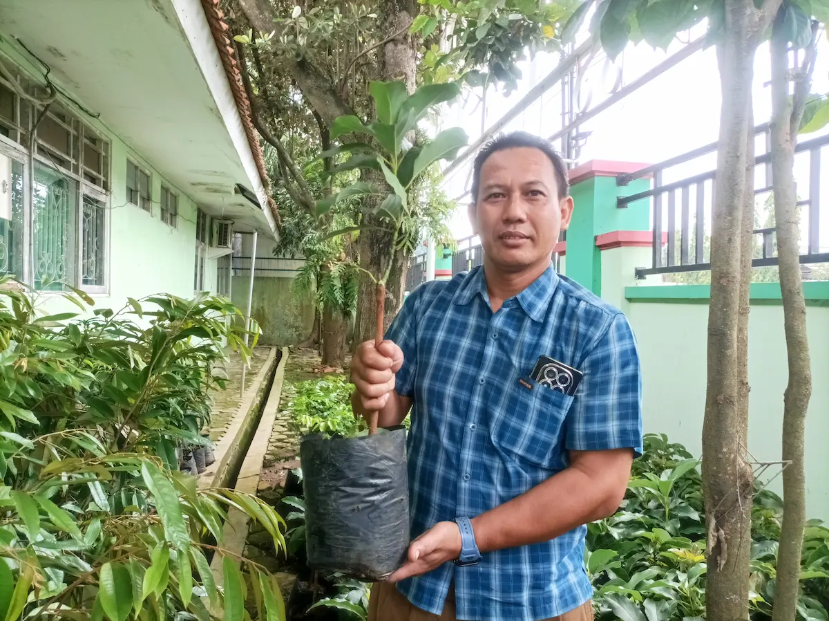 Deretan bibit pohon buah produktif di area kantor DLH Pati yang siap disalurkan kepada kelompok masyarakat untuk program penghijauan hutan.