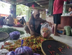 Sempat Tembus Rp 100 Ribu, Harga Cabai di Pemalang Kini Mulai Turun