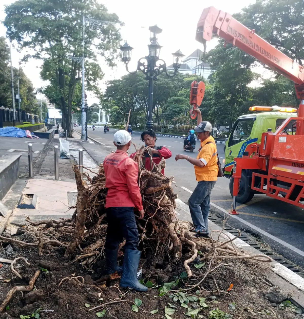 Petugas gabungan BPBD dan Disperkim Kota Semarang sedang memotong batang pohon tumbang yang menutupi jalanan akibat hujan deras dan angin kencang.