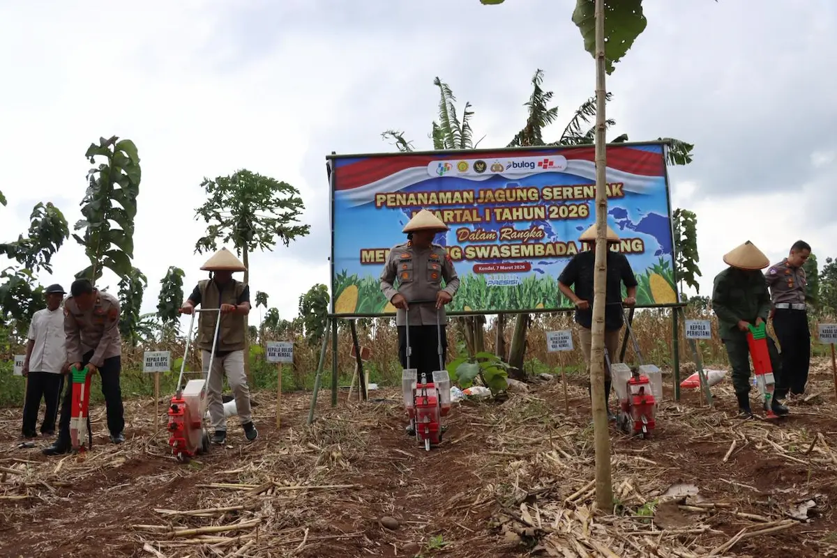 Sejumlah anggota kepolisian Polres Kendal bersama petani sedang menanam benih jagung di lahan pertanian Desa Kedungsuren.