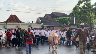 Iring-iringan warga dan Bupati Jepara Witiarso Utomo saat mengarak kerbau bule dalam tradisi Pesta Lomban Syawalan 2026.
