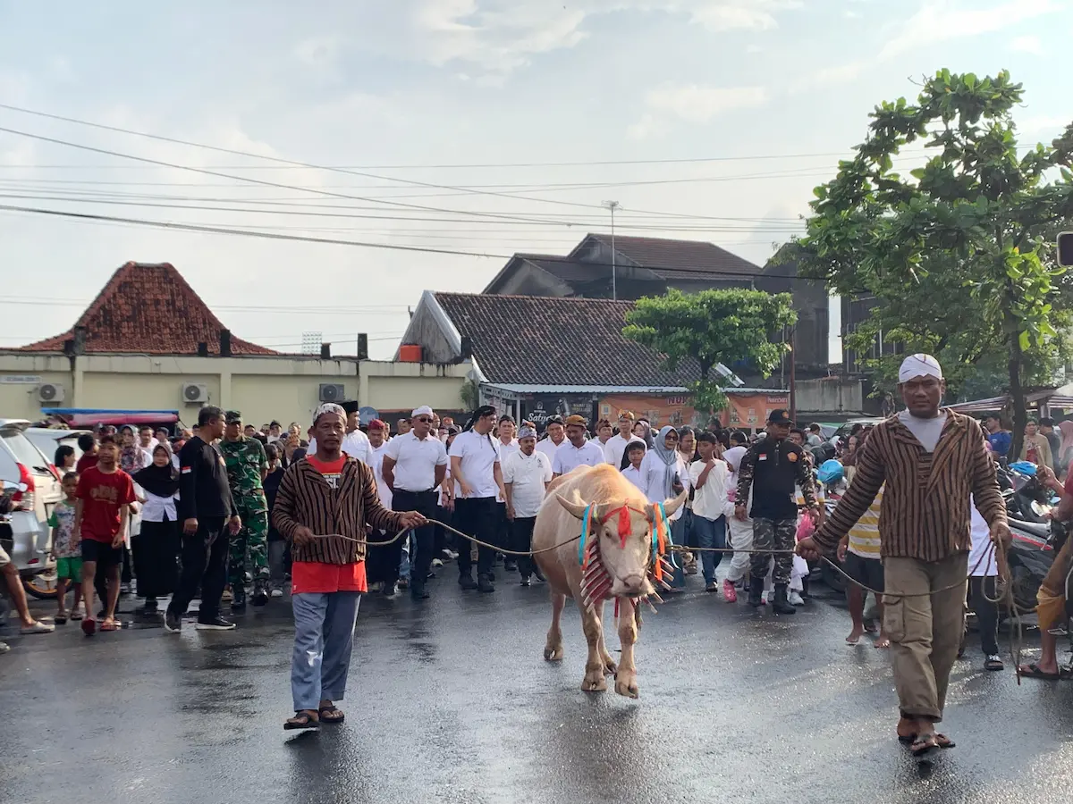 Iring-iringan warga dan Bupati Jepara Witiarso Utomo saat mengarak kerbau bule dalam tradisi Pesta Lomban Syawalan 2026.