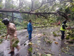 Pemudik Wajib Tahu! Hindari Lewat Pemalang Sore hingga Malam Hari, Ini Bahaya yang Mengancam