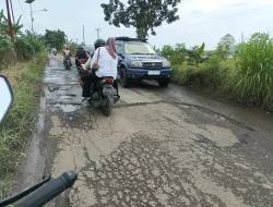 Siapkan Anggaran Rp 200 Miliar, Pemkab Pati Segera Eksekusi Perbaikan Jalan Rusak Habis Lebaran
