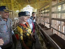 Jelang Iduladha, Bupati Kendal Pastikan Stok Hewan Kurban Aman