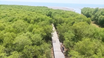 Masih Gratis! Nikmati Pesona Laut Pati dari Menara Pandang Wisata Mangrove Desa Tluwuk