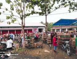 52 KDKMP di Purworejo Diresmikan, Koperasi dan Pasar Hewan Jadi Pusat Ekonomi Desa
