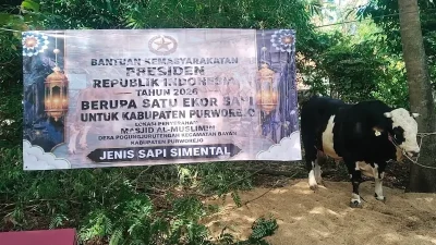 Presiden Prabowo Beri Sapi Kurban 1 Ton untuk Warga Desa di Purworejo, Begini Wujudnya!