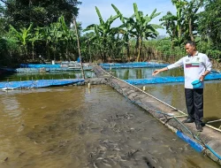 22 KDMP di Kudus Ajukan Bantuan Program Budi Daya Ikan Bioflok dari KKP