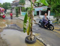 Perbaikan Jalan Rusak di Pati Mulai Akhir Mei, DPRD Ingatkan soal Kualitas