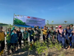 MAN 2 Pati dan PT Misaja Mitra Tanam 2.000 Bibit Mangrove di Pesisir Tayu
