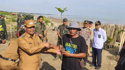 Ribuan Mangrove Ditanam di Pesisir Rembang, Bikin Pantai Makin Asri dan Cegah Abrasi