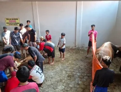 Warga LDII Pemalang Kumpulkan Dana Kurban Rp 3,34 Miliar, Bagikan Ribuan Paket Daging Pakai Besek Bambu