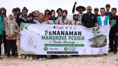 PLN UIK Tanjung Jati B Tanam 5.400 Bibit Mangrove di Pesisir Mororejo, Perkuat Benteng Alami Pantai Jepara