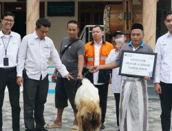 PLN UIK Tanjung Jati B Berbagi Hewan Kurban, Perkuat Kepedulian Sosial di Momentum Idul Adha