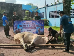 PDAM Purworejo Sembelih Sapi Kurban Seberat 1 Ton, Bagikan ke Masyarakat