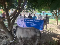 TBIG Salurkan Hewan Kurban untuk Enam Propinsi