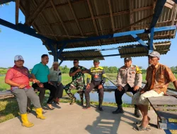 Berjibaku Lawan Hama Tikus Sawah, Petani Kendal Buktikan Pentingnya Gotong Royong Jaga Panen