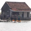 Bertahan 5 Tahun di Tengah Kepungan Rob, Nenek Siti Akhirnya Pindah ke Hunian Aman. Begini Kisah Harunya