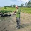 Sempat Dicibir dan Diprotes Keluarga, Pria Asal Kendal Ini Buktikan Dedikasinya hingga Raih Kalpataru