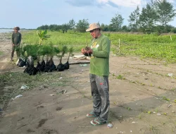 Sempat Dicibir dan Diprotes Keluarga, Pria Asal Kendal Ini Buktikan Dedikasinya hingga Raih Kalpataru