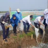 Rencana Pembangunan Giant Sea Wall hingga Kabupaten Batang Masih Tahap Kajian