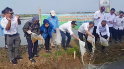 Rencana Pembangunan Giant Sea Wall hingga Kabupaten Batang Masih Tahap Kajian
