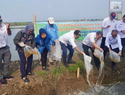 Rencana Pembangunan Giant Sea Wall hingga Kabupaten Batang Masih Tahap Kajian