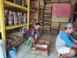Efek Program MBG Mandek! Harga Telur Ayam di Pasar Pagi Pemalang Langsung Turun