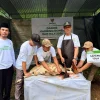 Baznas RI Salurkan Puluhan Ekor Domba Dam Haji di Purworejo
