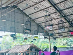 Lomba Burung Berkicau di Purworejo, Kolaborasi Seni Budaya dan UMKM