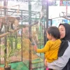 Pameran Satwa Mini Zoo Gembira Loka Hadir di The Park Mall Semarang