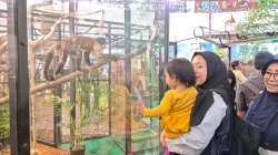 Pameran Satwa Mini Zoo Gembira Loka Hadir di The Park Mall Semarang