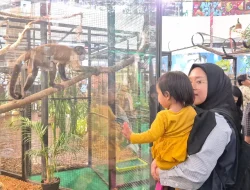 Pameran Satwa Mini Zoo Gembira Loka Hadir di The Park Mall Semarang