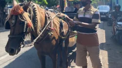 Kisah Subadi, Kusir Delman Balai Jagong Kudus yang Bertahan di Tengah Sepinya Penumpang
