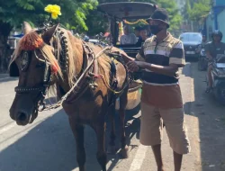Kisah Subadi, Kusir Delman Balai Jagong Kudus yang Bertahan di Tengah Sepinya Penumpang