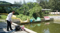 PAD Pantai Widuri Belum Maksimal, PDIP Soroti Water Park yang Mangkrak