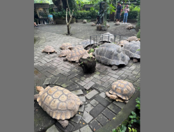Gembira Loka Zoo Bawa 50 Satwa ke The Park Mall Semarang, Ada Keseruan Apa Saja? Cek Jadwalnya!