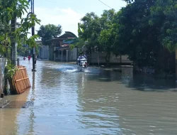 Hujan Deras Semalaman, 9 Desa di Kabupaten Pati Terendam Banjir