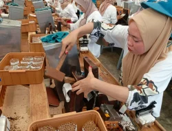 SKT Jadi Penyangga Industri Rokok Kudus di Tengah Kenaikan Cukai