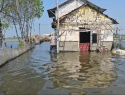 Masifnya Penggunaan Air Tanah Picu Penurunan Muka Tanah dan Banjir Rob di Pati