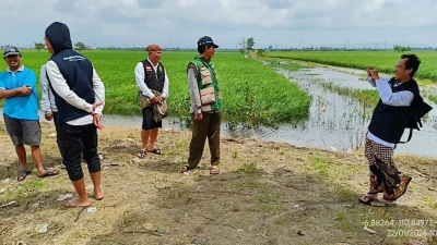 Dispertan Kudus Usulkan Program Mina Padi di Tiga Desa