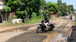 Pemkab Jepara Targetkan Perbaikan 141 Kilometer Jalan Rusak Tahun 2026, Segini Anggarannya