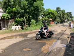Pemkab Jepara Targetkan Perbaikan 141 Kilometer Jalan Rusak Tahun 2026, Segini Anggarannya