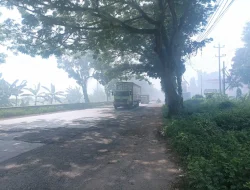 Pabrik Dua Putra Pati Terbakar, Kabut Asap Penuhi Jalan Pantura