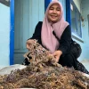 Kelompok Perempuan Jaya Samudera Olah Rumput Laut Jepara Jadi Berbagai Produk Makanan dan Minuman
