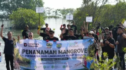 Peringati Hari Lingkungan Hidup Sedunia, PLN UIK Tanjung Jati B Tanam 5.000 Mangrove di Pantai Blebak